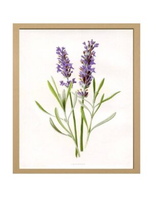 1600x1200-white-solid-color-background-82.jpg A4 (21 x 29.7 cm) OAK Frame