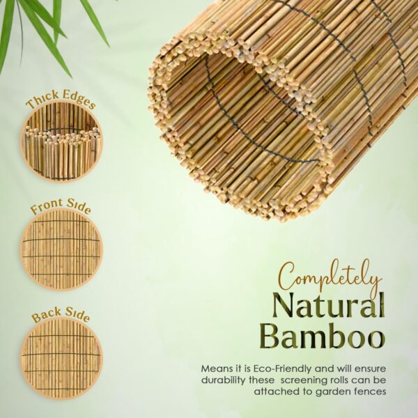Natural Bamboo Reed Fencing with Cotton String