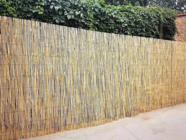 81MYeRusK9L._AC_SL1440_.jpg Natural Split Reed Fence Hand Woven Screening for Garden